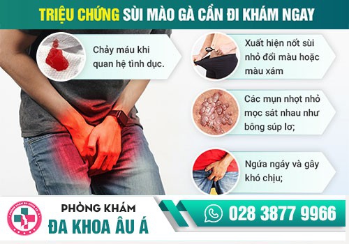 Mụn sinh dục là bệnh gì 